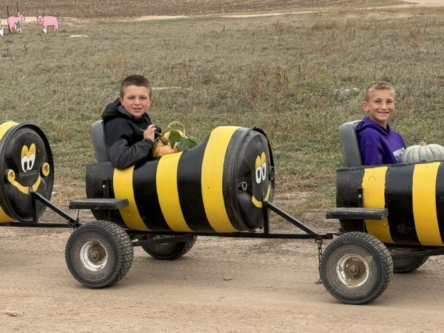 Pumpkin Patch