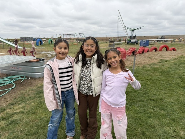 Pumpkin Patch