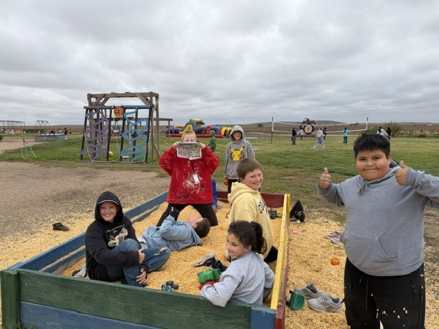 Pumpkin Patch