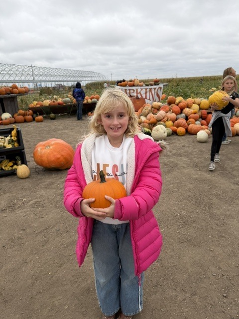 Pumpkin Patch