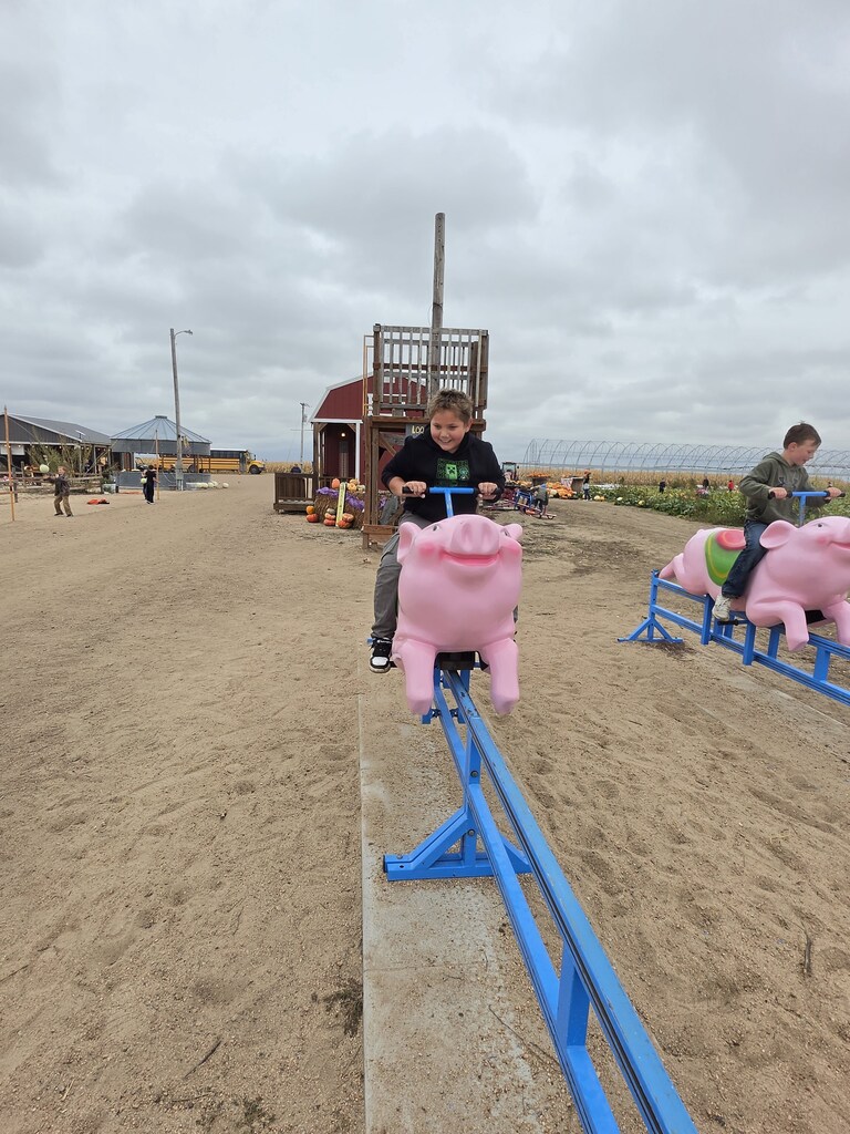Pumpkin Patch
