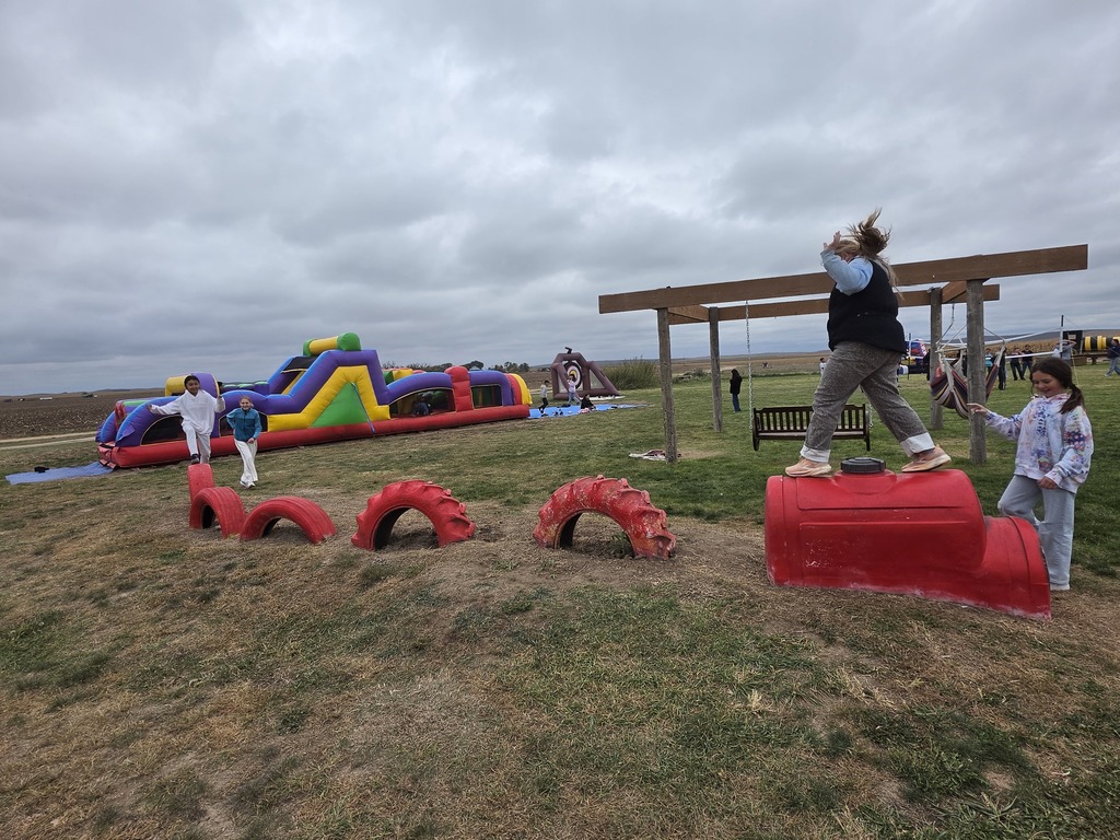 Pumpkin Patch