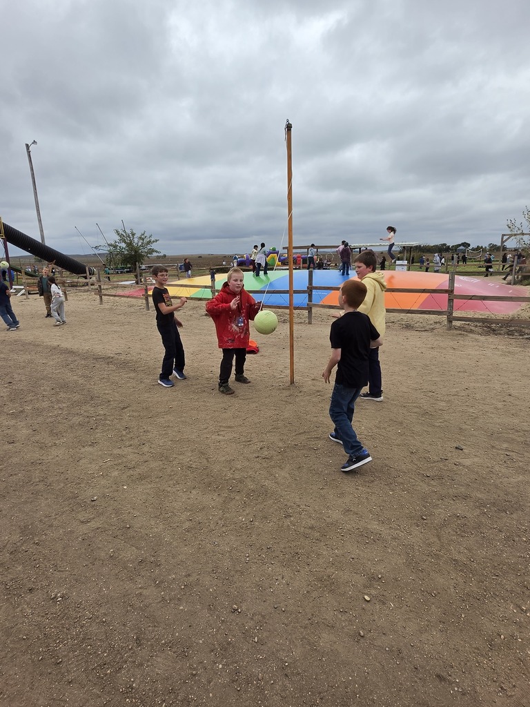 Pumpkin Patch