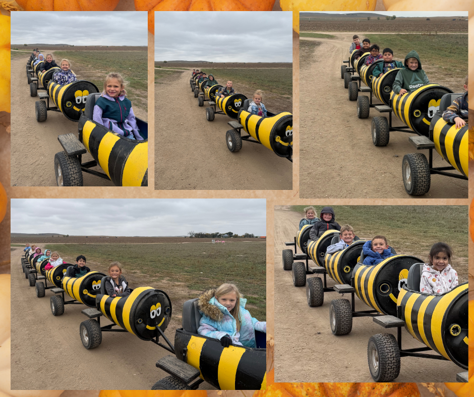 Pumpkin Patch
