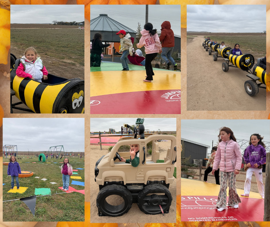 Pumpkin Patch