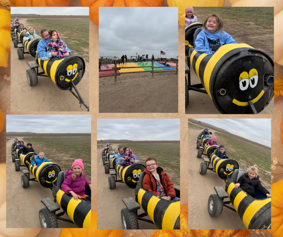 Pumpkin Patch