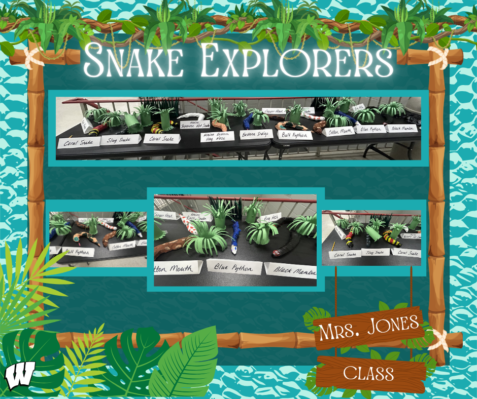 Snake Explorers