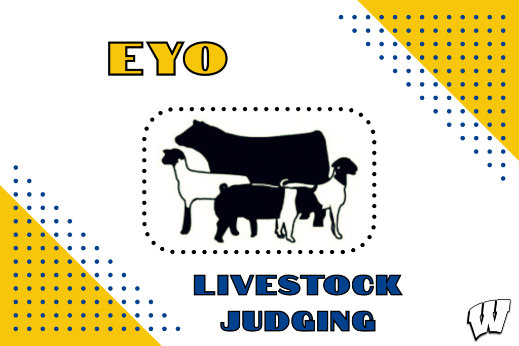 EYO Livestock Judging