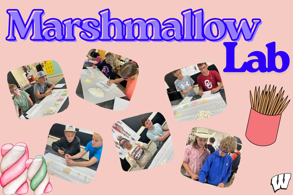 Marshmallow Lab