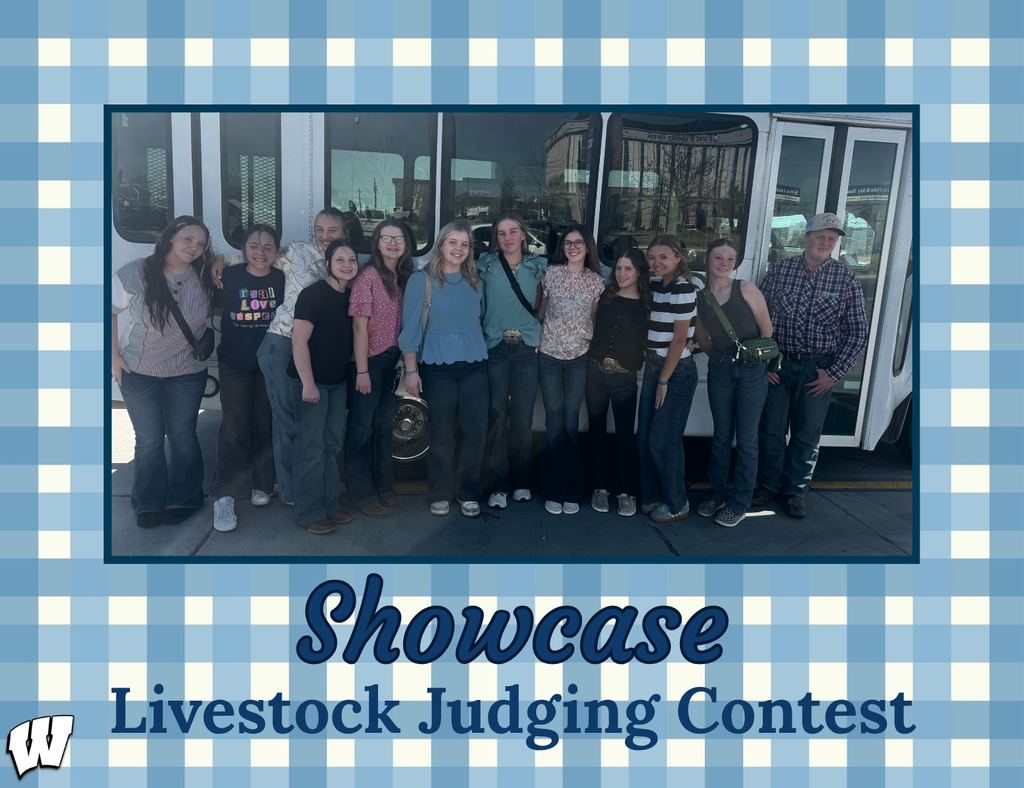 Showcase Judging Contest