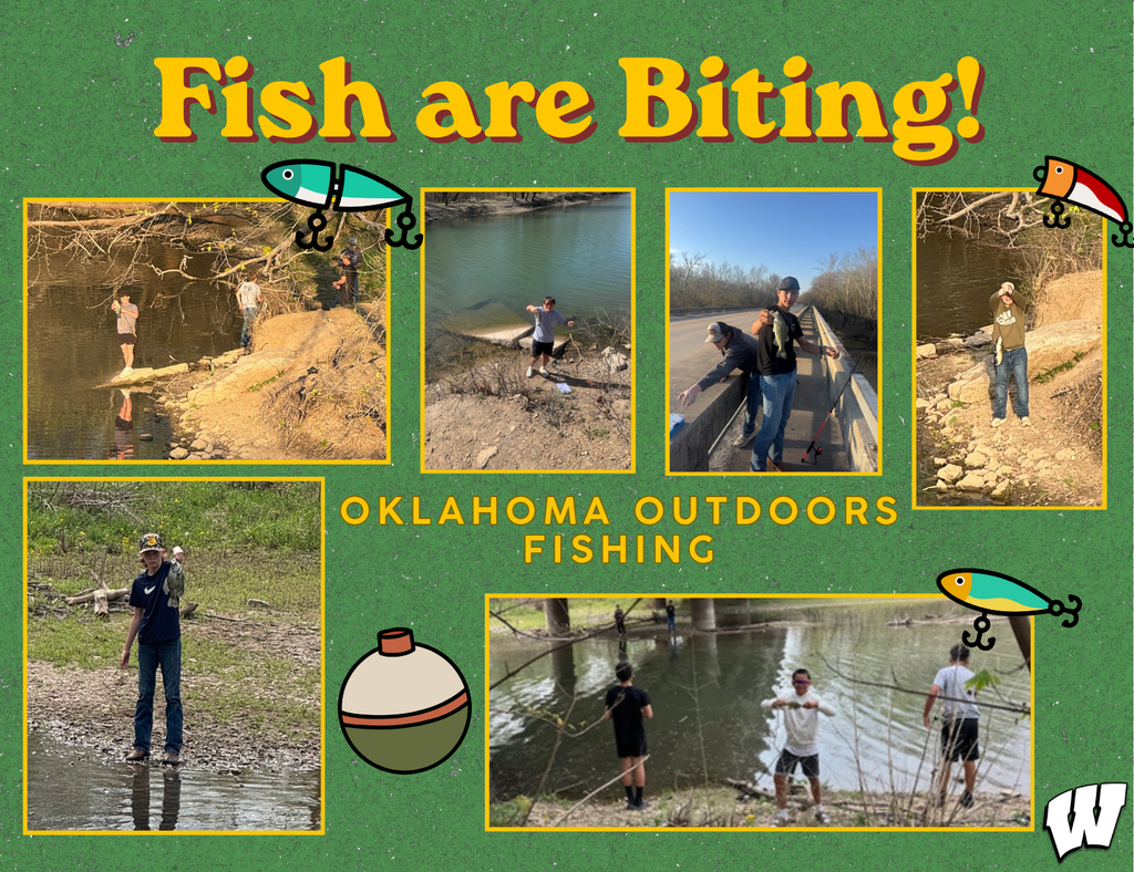 🎣 The Fish Are Biting! 🐟