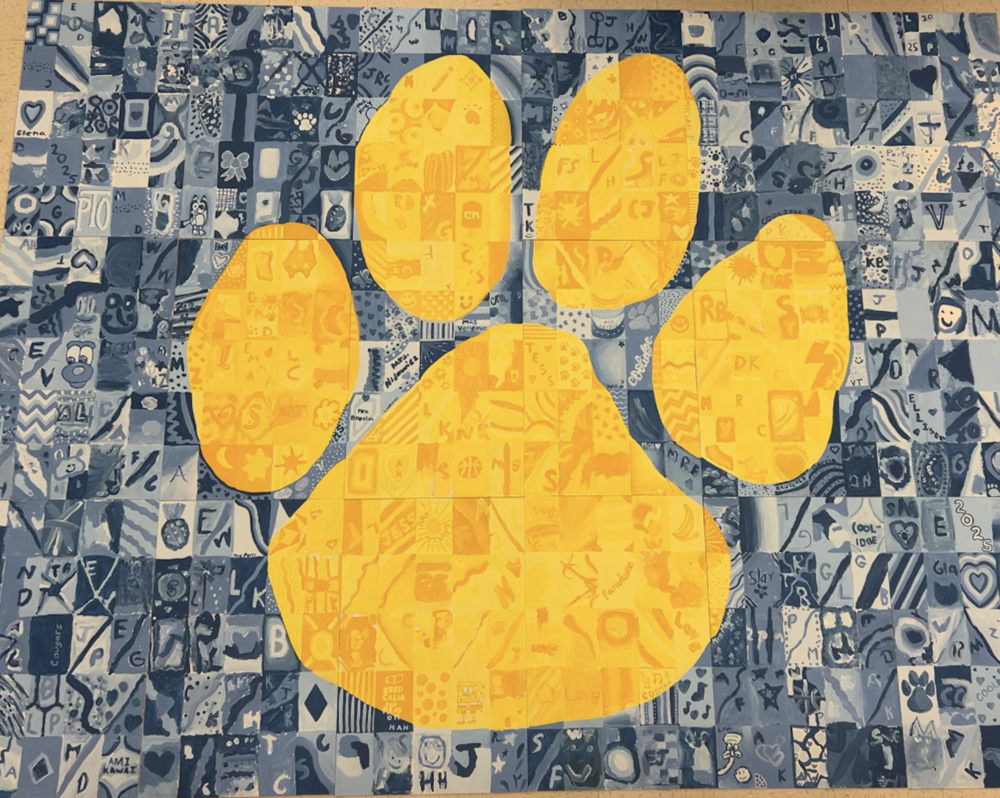 cougar paw