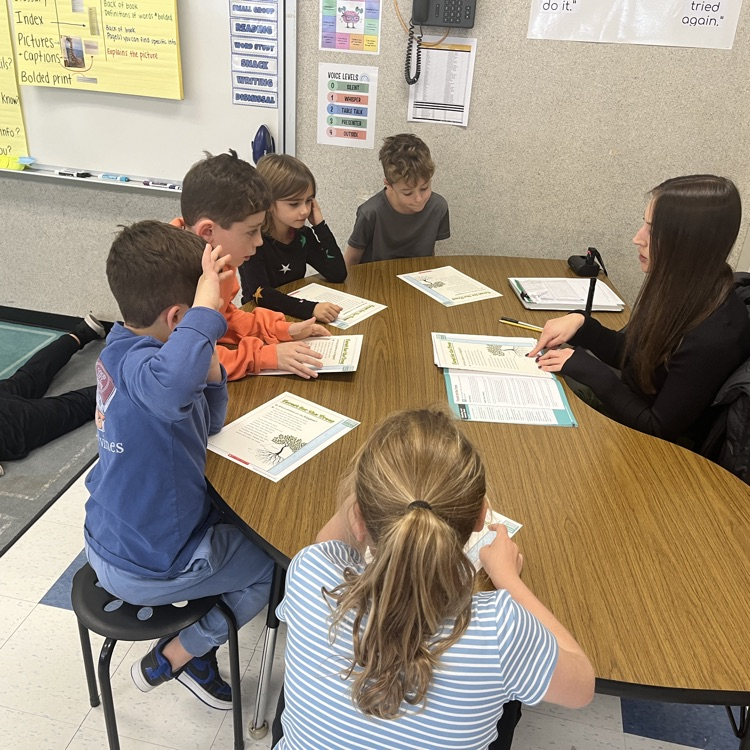 small group instruction