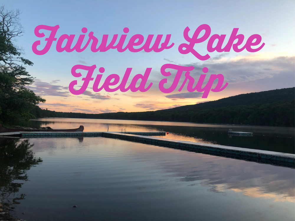 Fairview Lake Field Trip