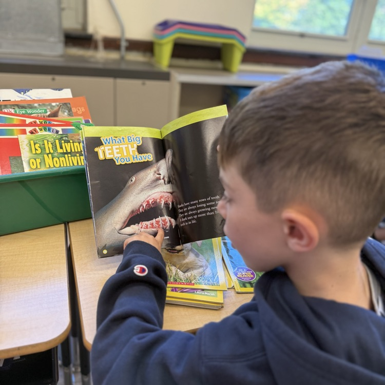 student reading book