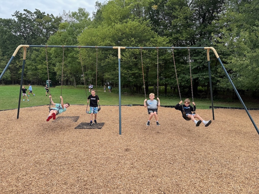 Students on swings