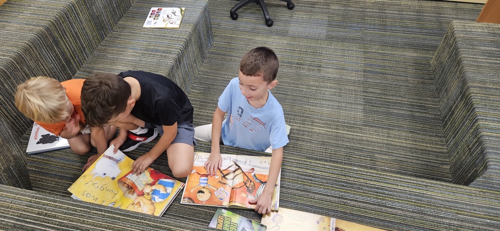 Library Reading