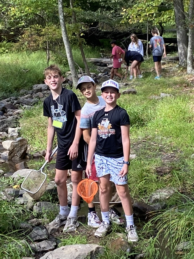 Stream Ecology 