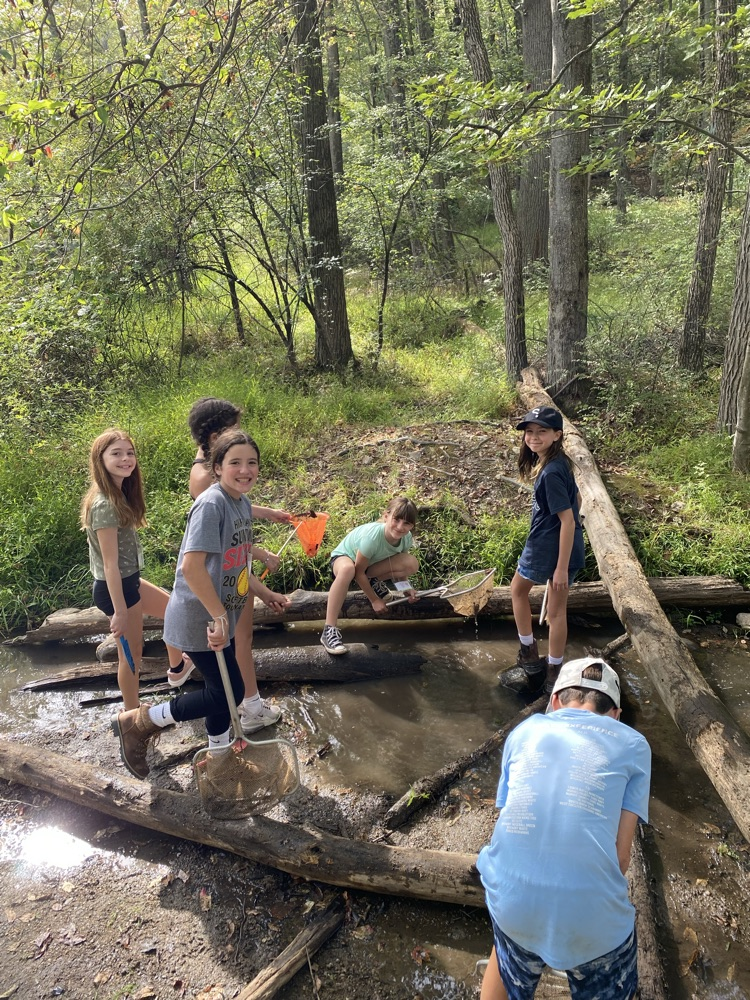 Stream Ecology 