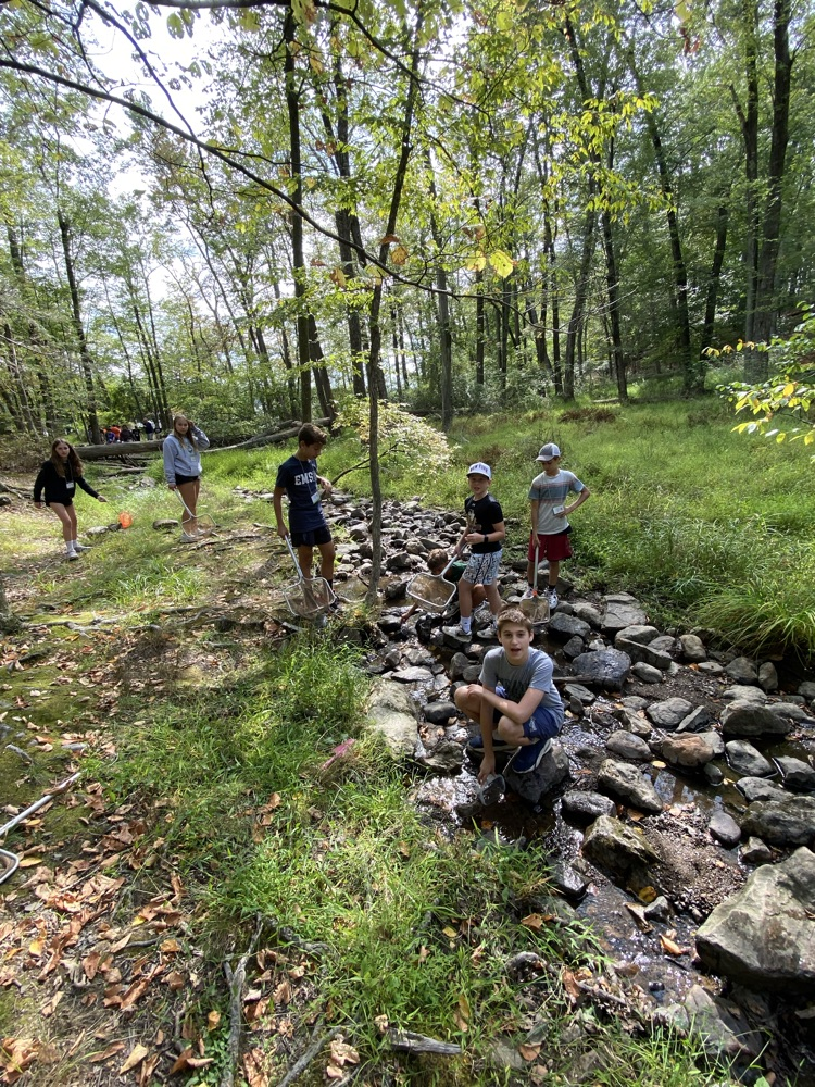 Stream Ecology 