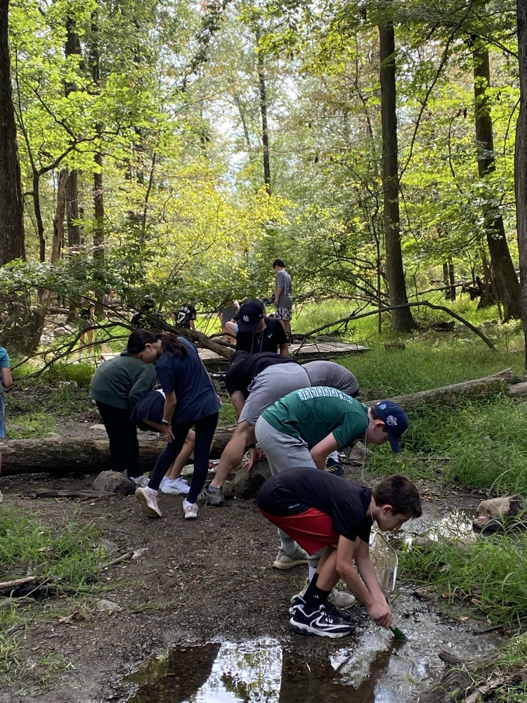 Stream Ecology 