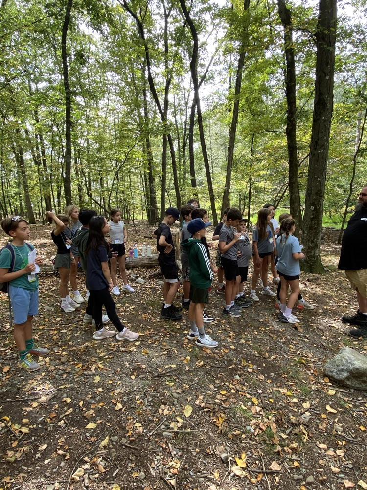 Stream Ecology 