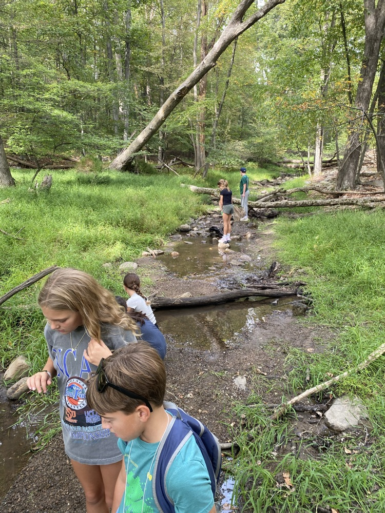 Stream Ecology 