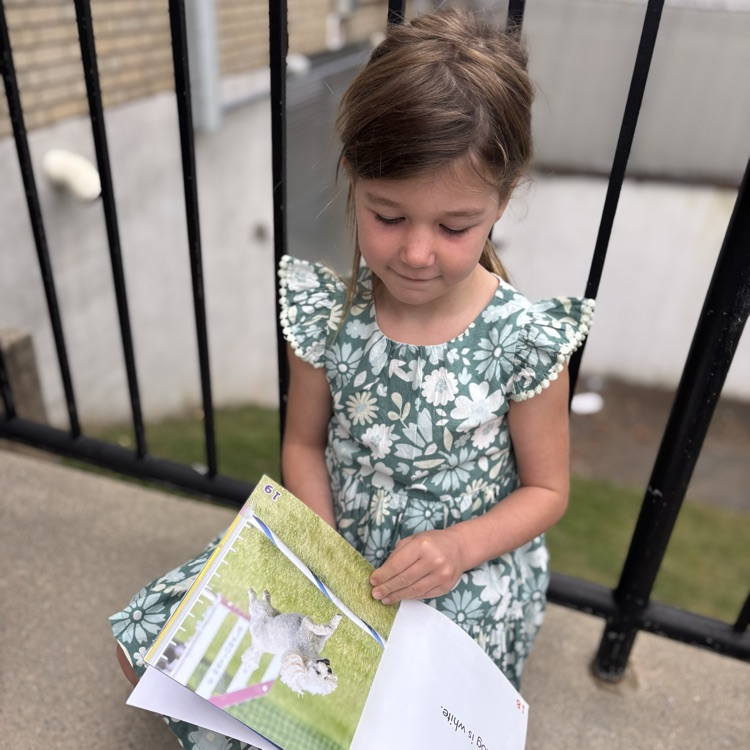 girl reading book
