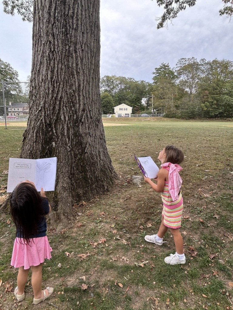 children observing tree