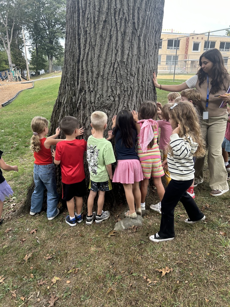 children observing tree