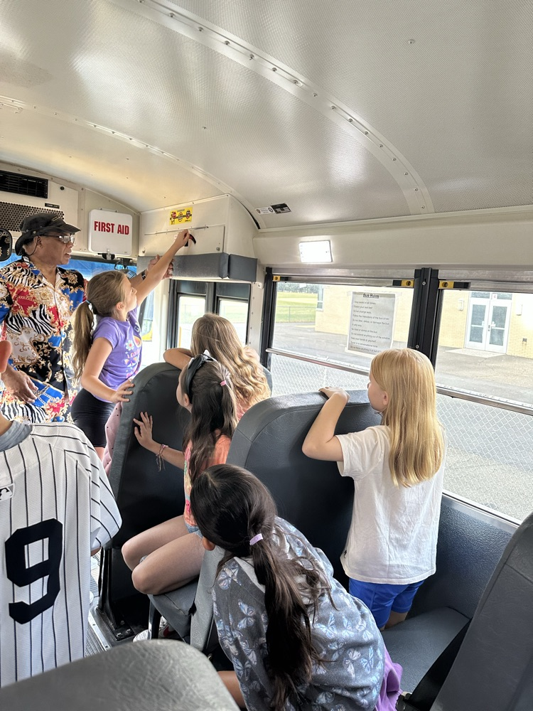 bus
