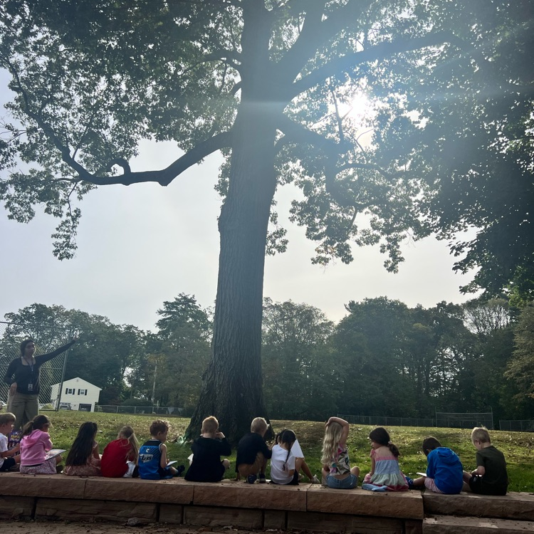 KRO observed, sketched and colored a tree during Art Integration.