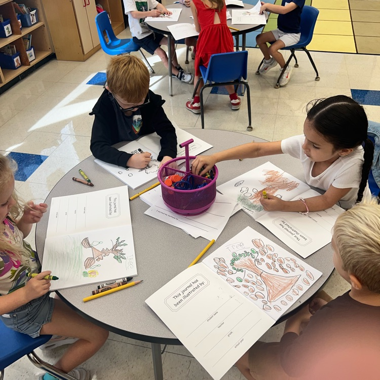 KRO observed, sketched and colored a tree during Art Integration.