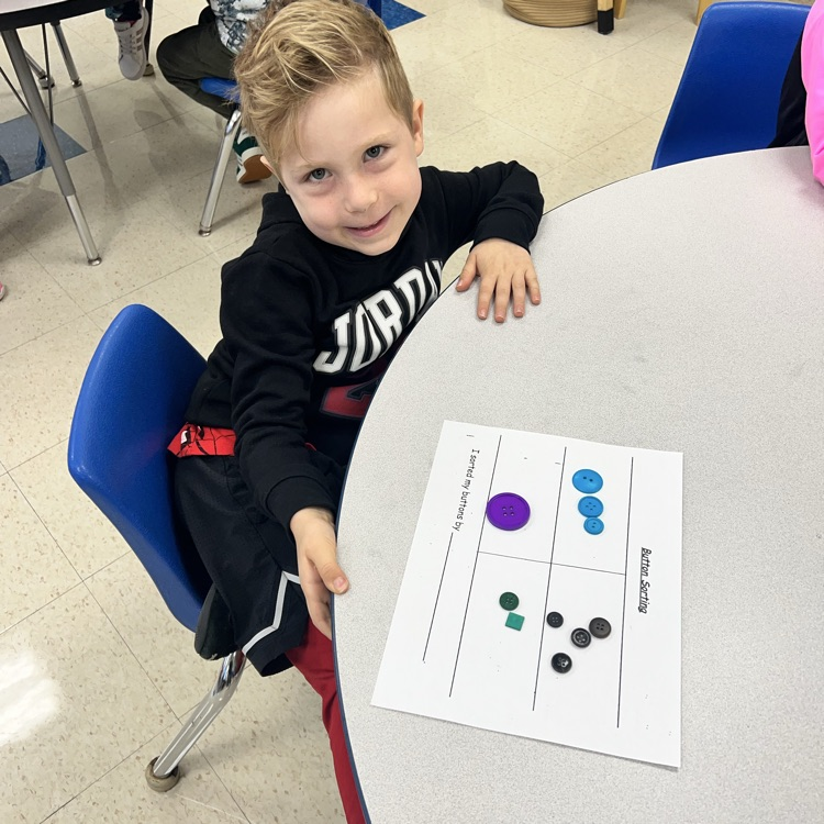 KRO sorts buttons by size, shape, color and other attributes that they observe.