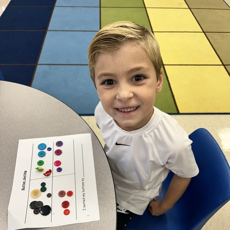 KRO sorts buttons by size, shape, color and other attributes that they observe.