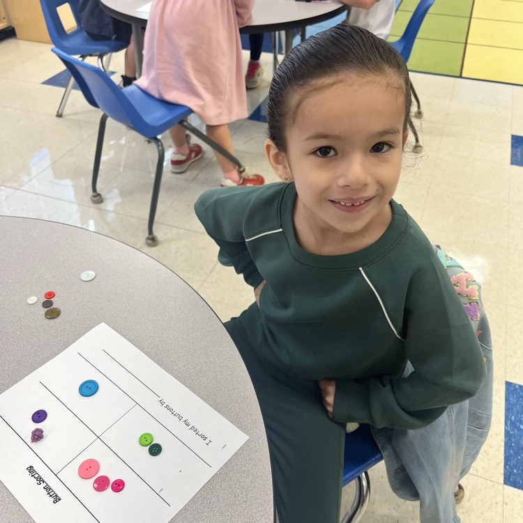 KRO sorts buttons by size, shape, color and other attributes that they observe.