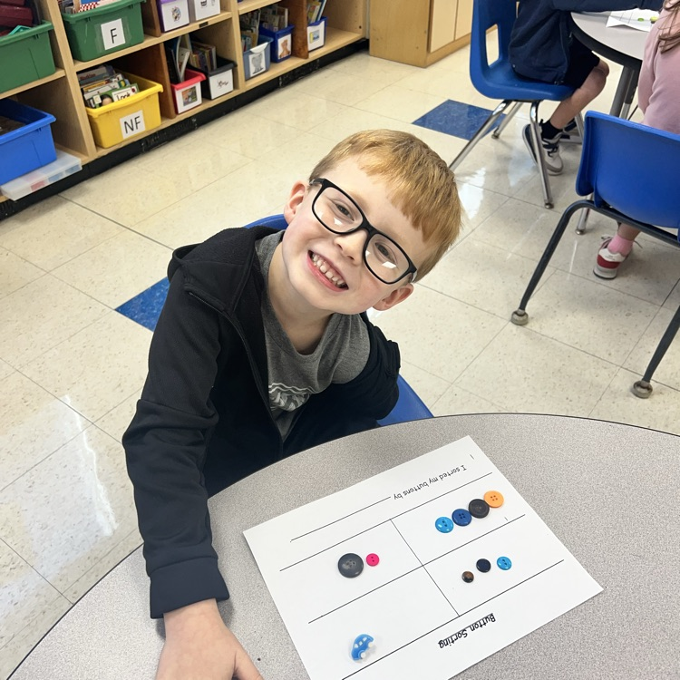 KRO sorts buttons by size, shape, color and other attributes that they observe.