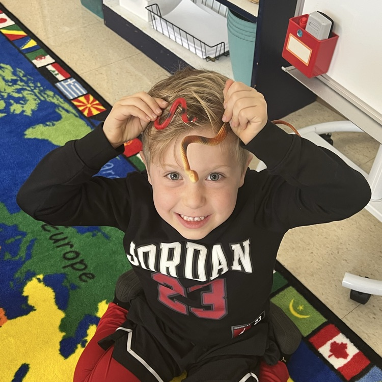 KRO was excited to be introduced to additional choice items for free play.