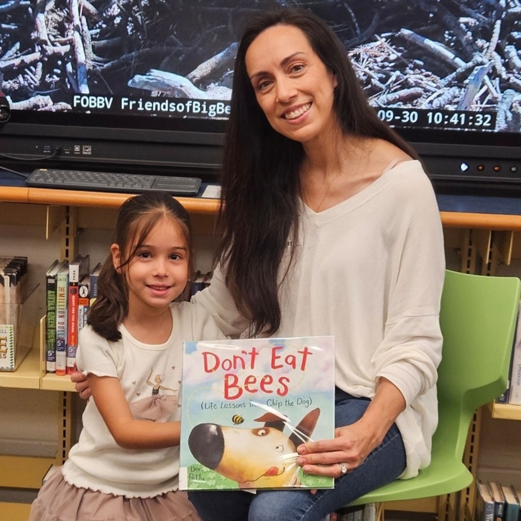 Mystery Reader