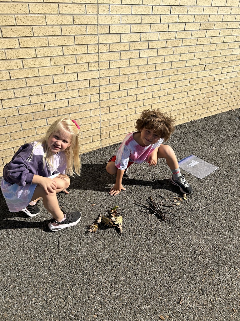 children sorting