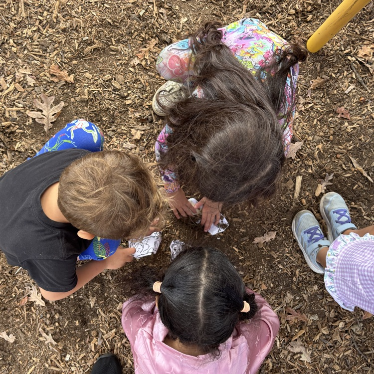 children playing in the dirt