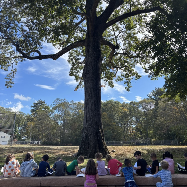 children and a tree