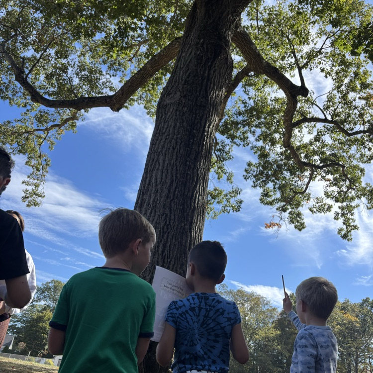 children and a tree