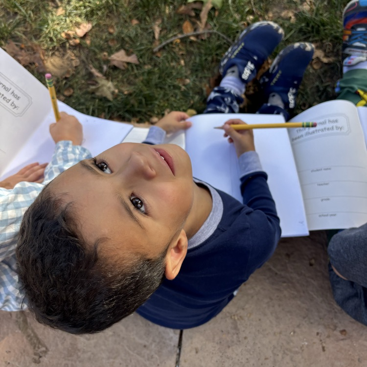 boy, noticing a tree