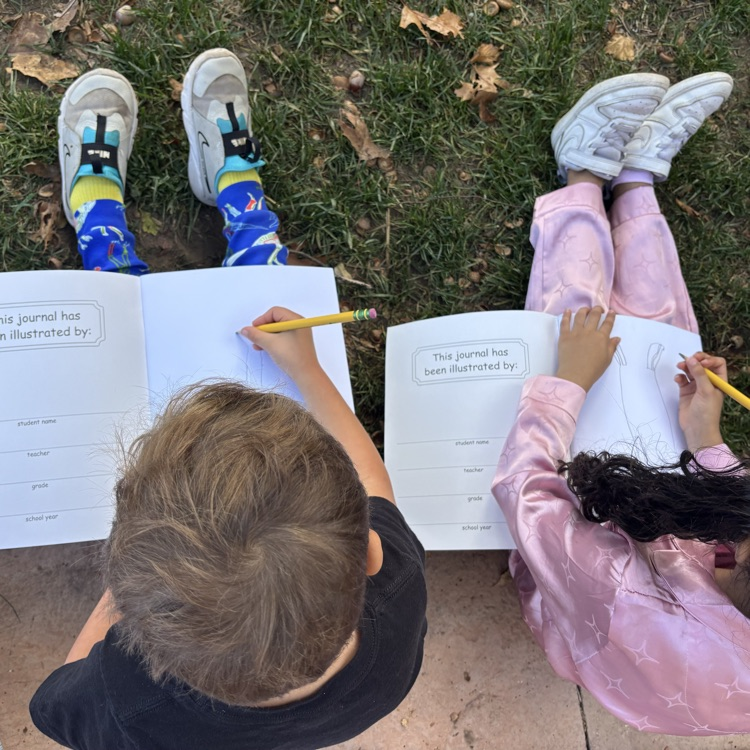 children sketching a tree