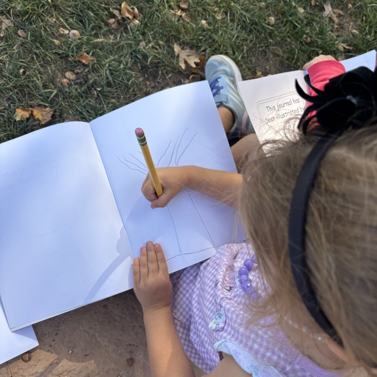 girl, sketching a tree