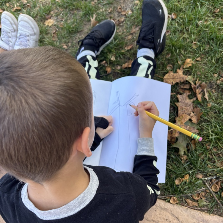 boy drawing a tree