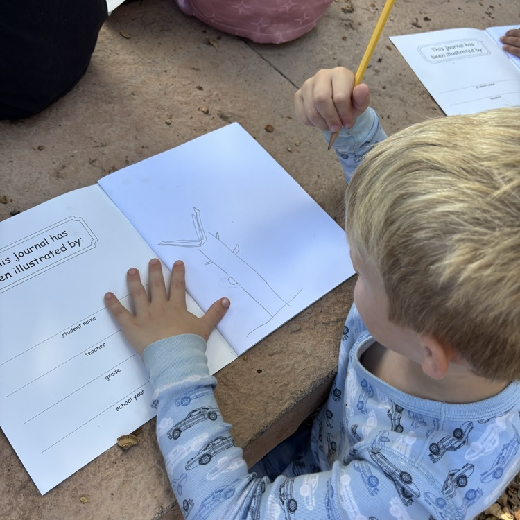 boy drawing a tree