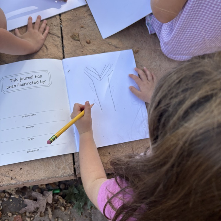 Girl drawing a tree