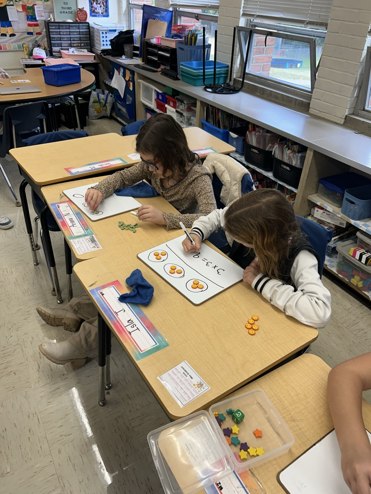 third grade mathematicians